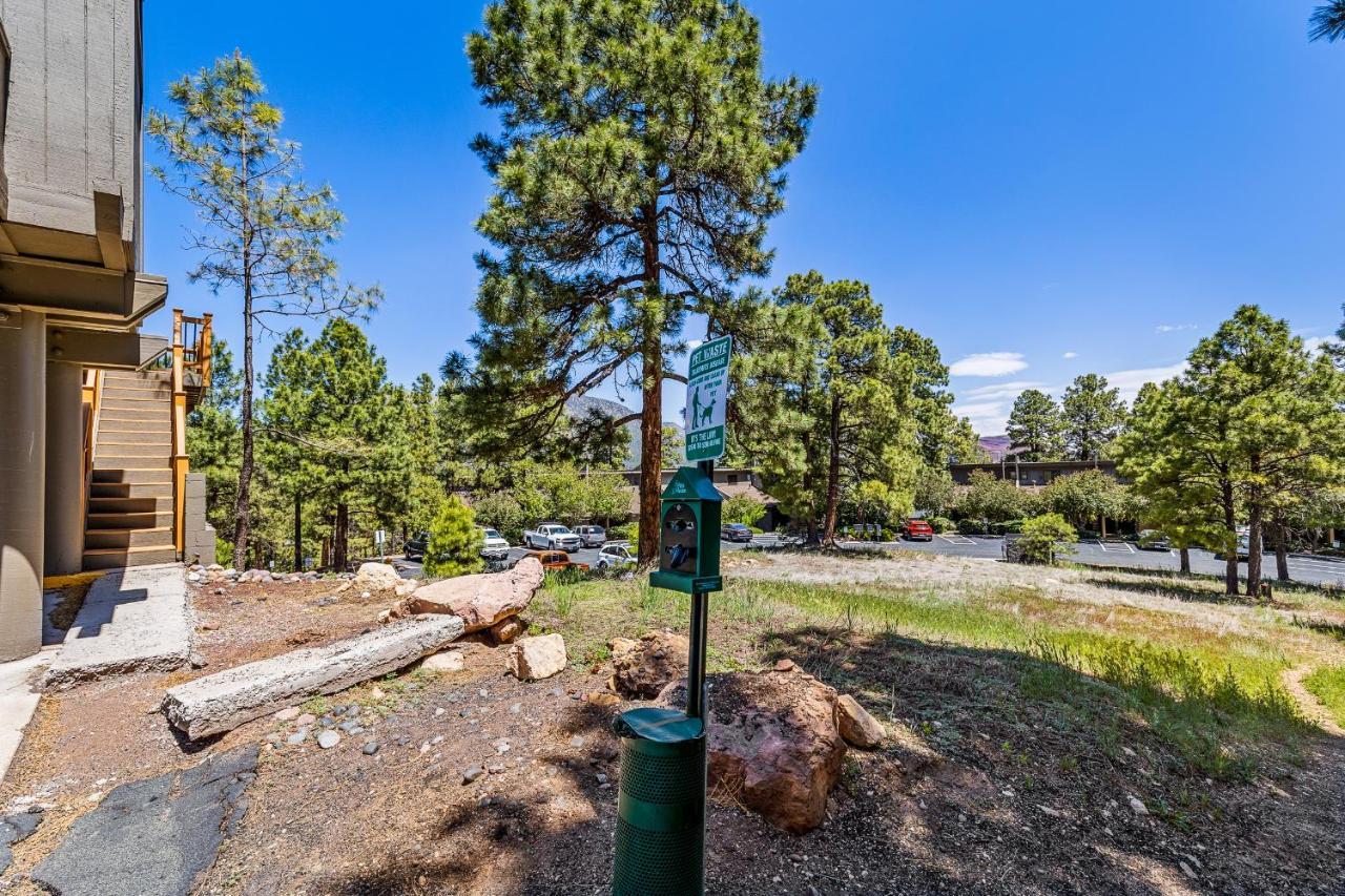 Delightful 1 Bdrm Country Club Retreat With Mt Elden Views! Villa Flagstaff Bagian luar foto